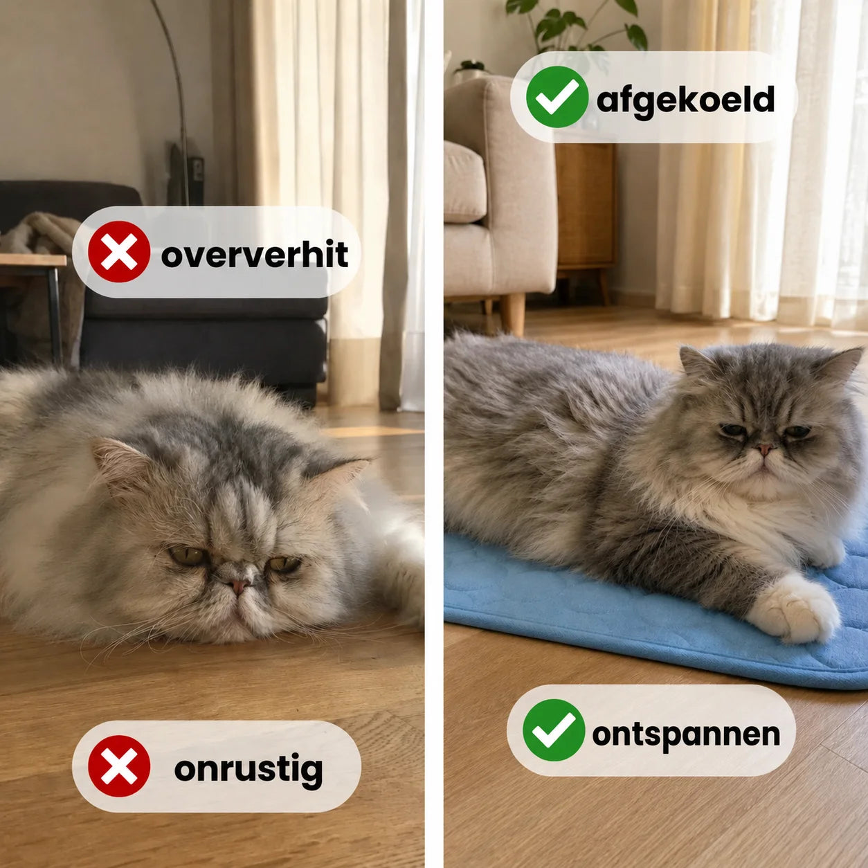 Alto Kat koelmat (2 voor 1)