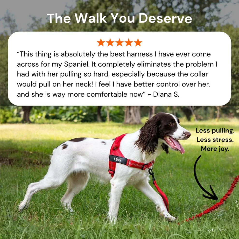 Alto No Pull Dog Harness