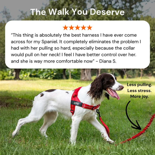 Alto No Pull Dog Harness