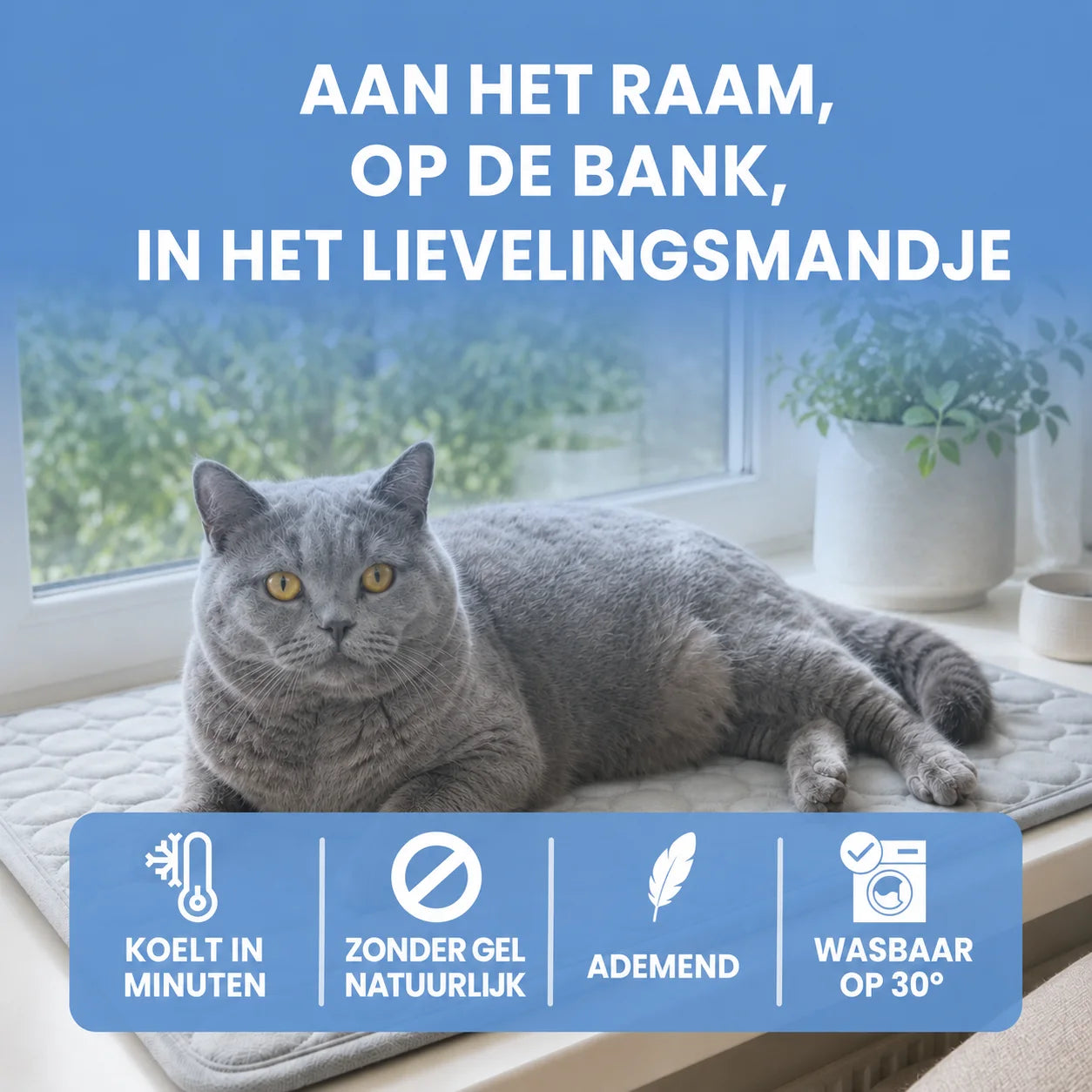 Alto Kat koelmat (2 voor 1)