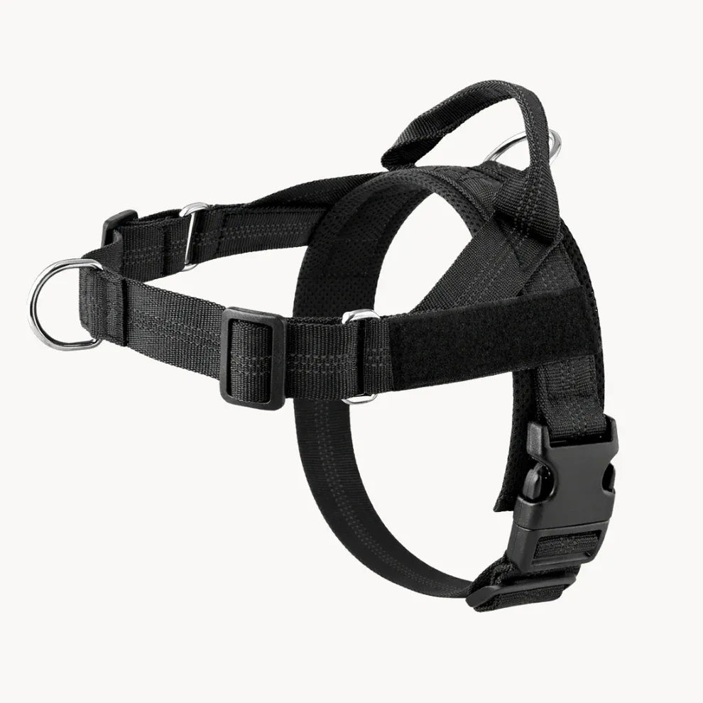 Alto No Pull Dog Harness