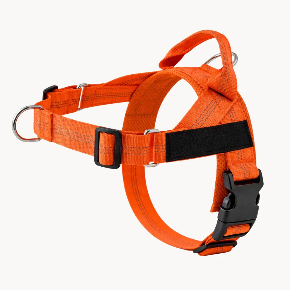 Alto No Pull Dog Harness
