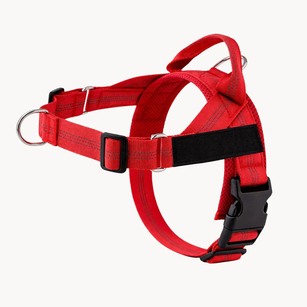 Alto No Pull Dog Harness