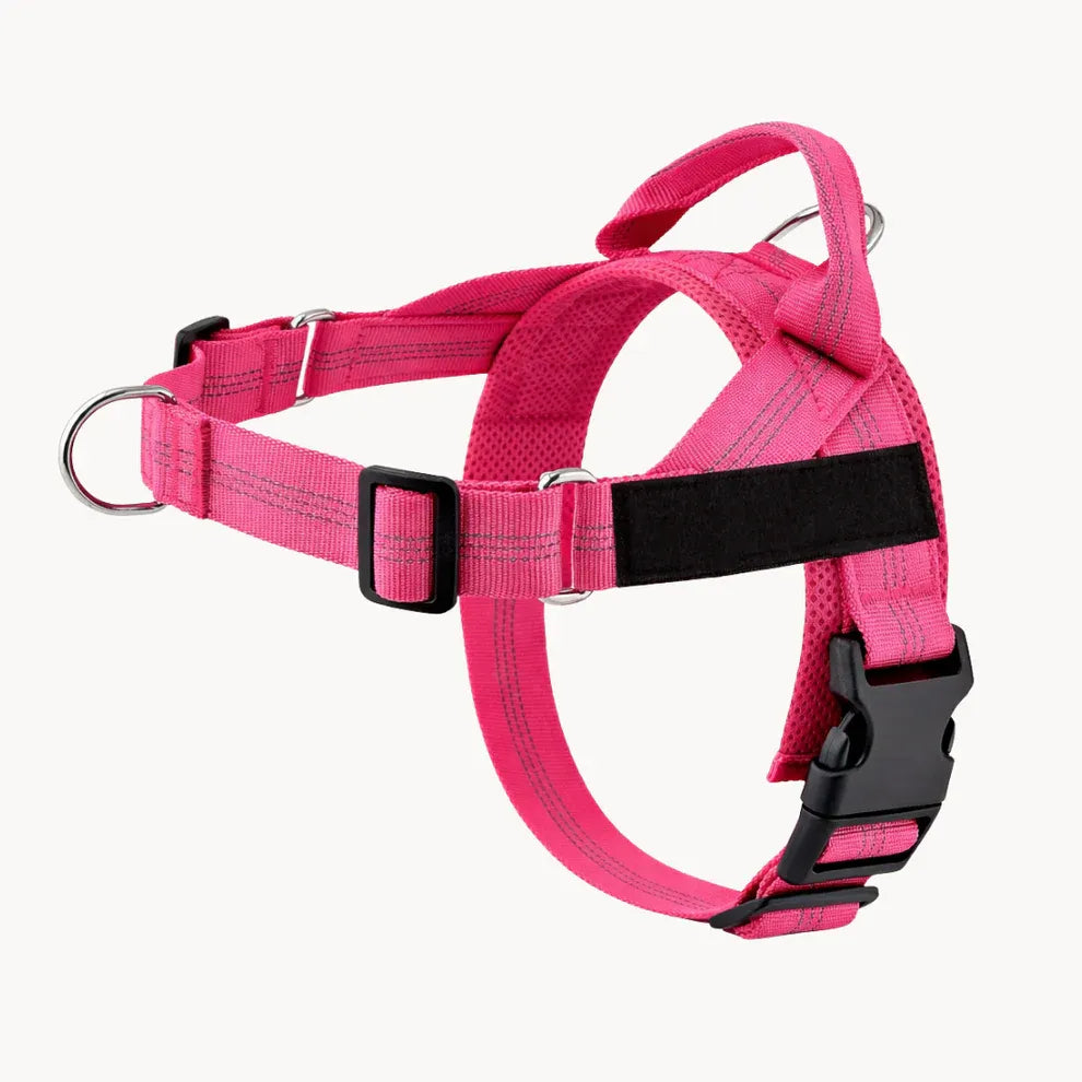 Alto No Pull Dog Harness