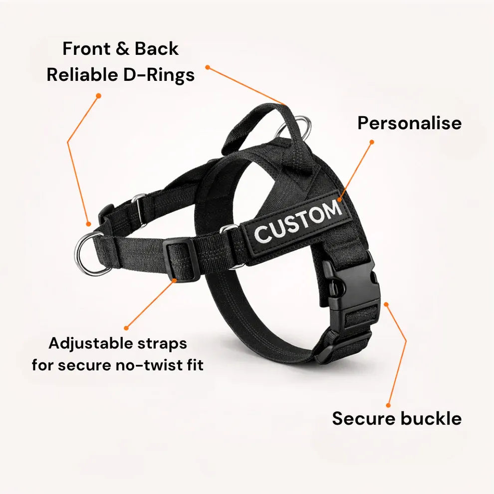 Alto No Pull Dog Harness