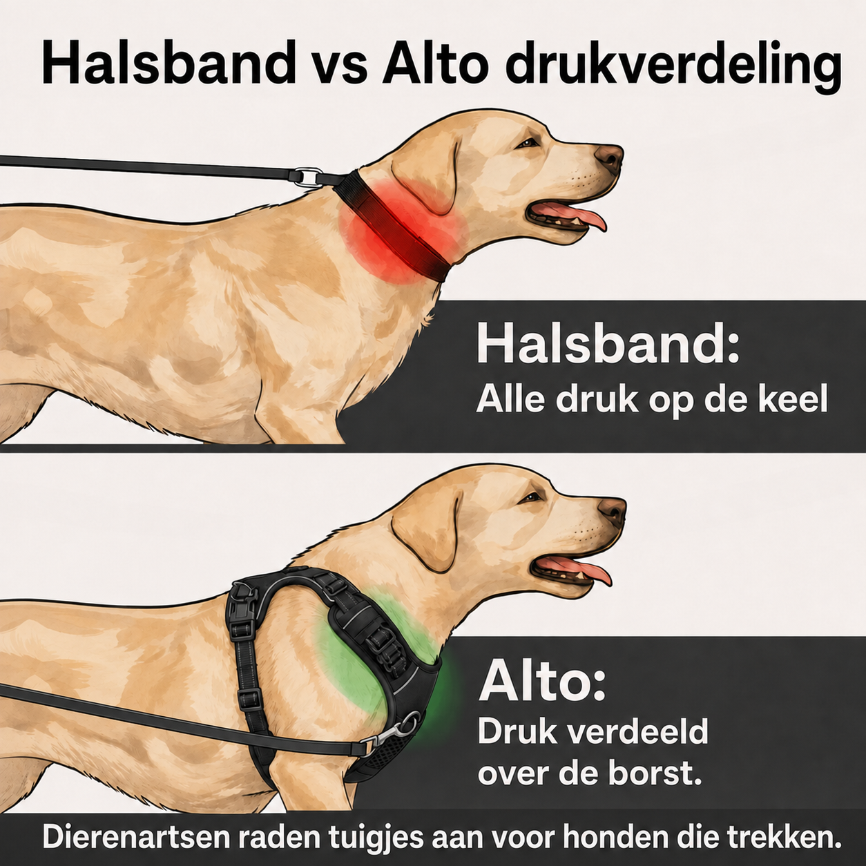 Alto Anti-Trek Harnas