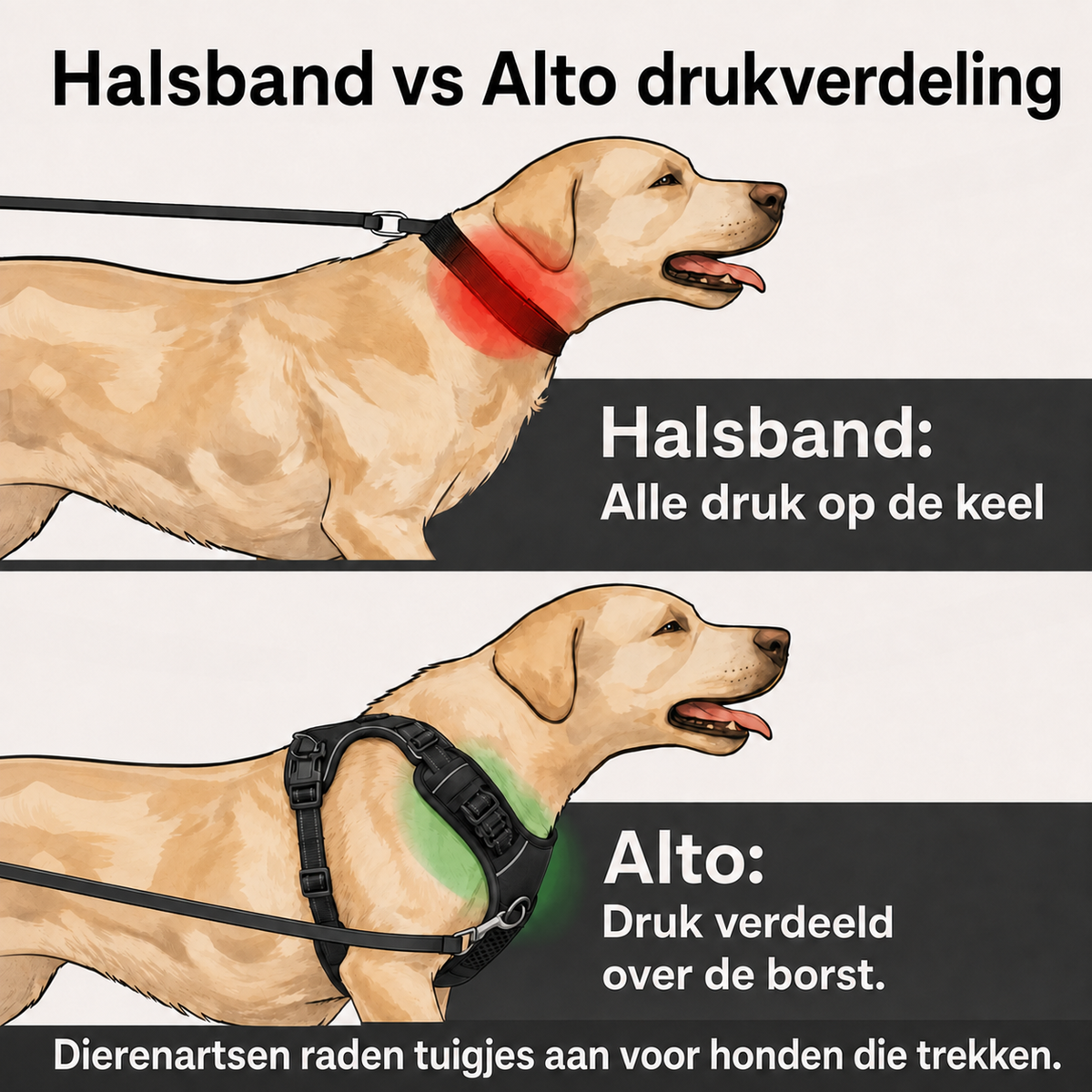 Alto Anti-Trek Harnas