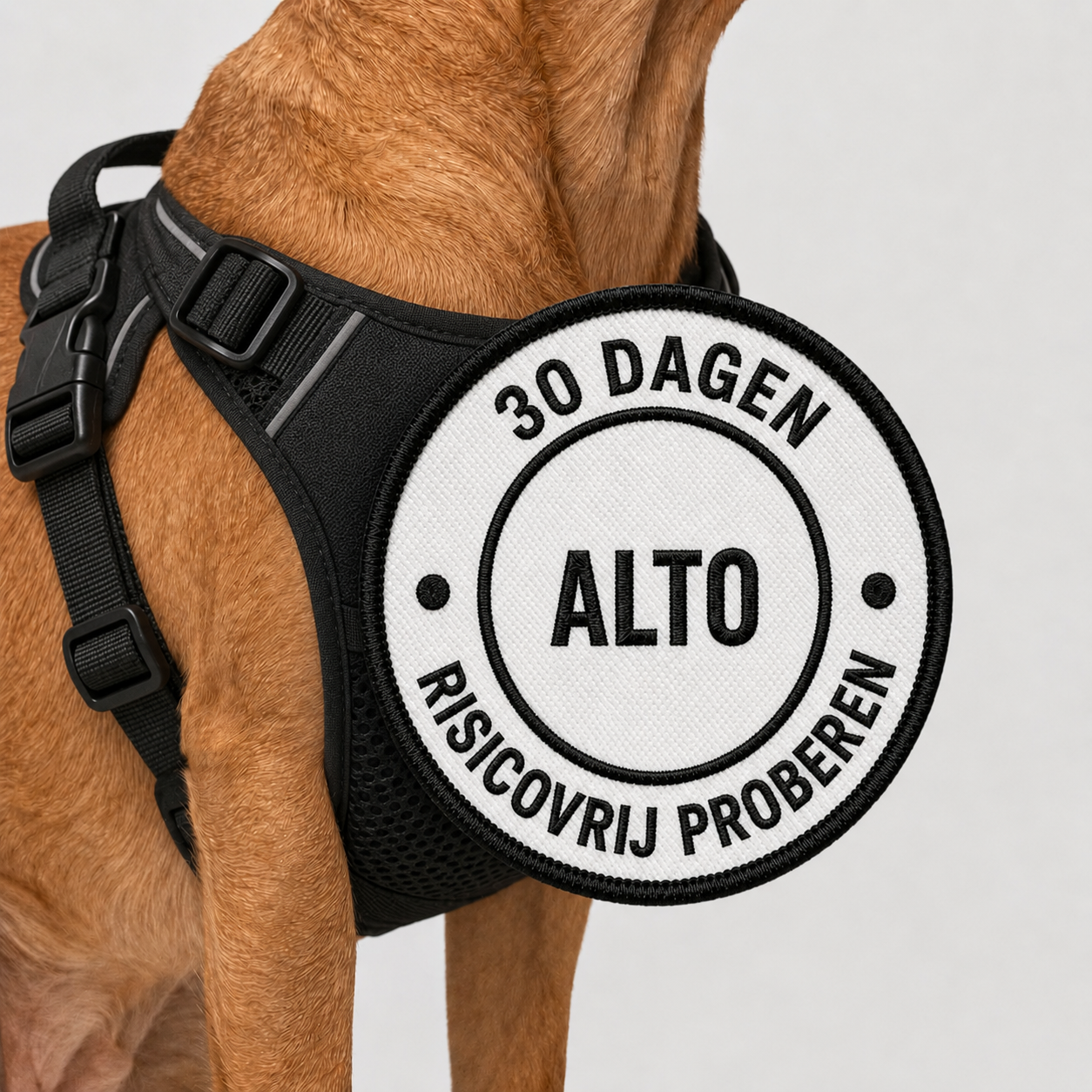 Alto Anti-Trek Harnas