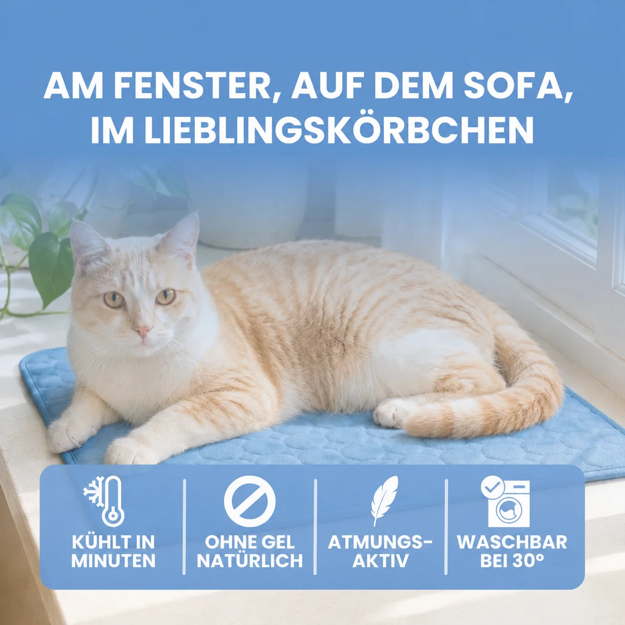 Alto Kat koelmat (2 voor 1)