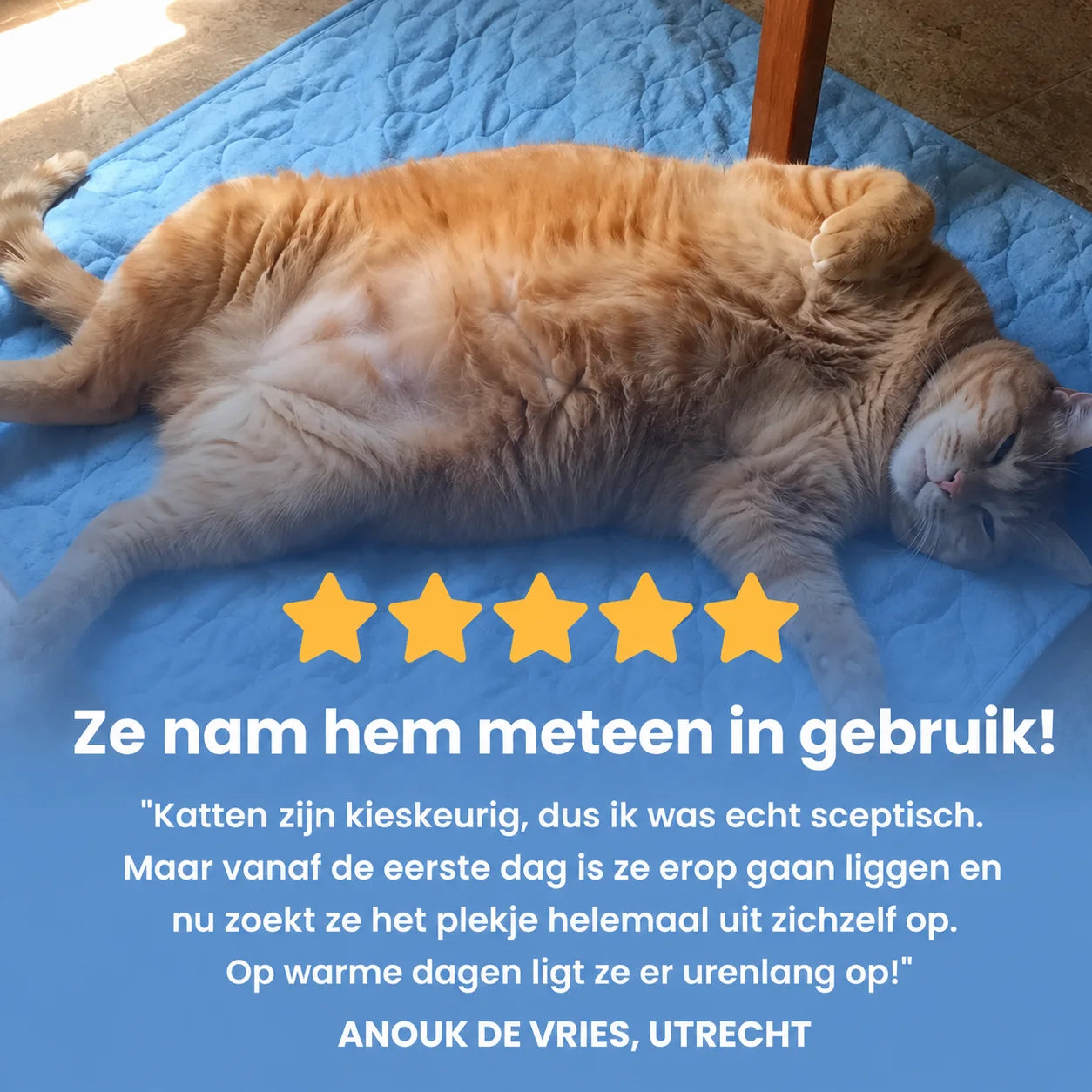 Alto Kat koelmat (2 voor 1)