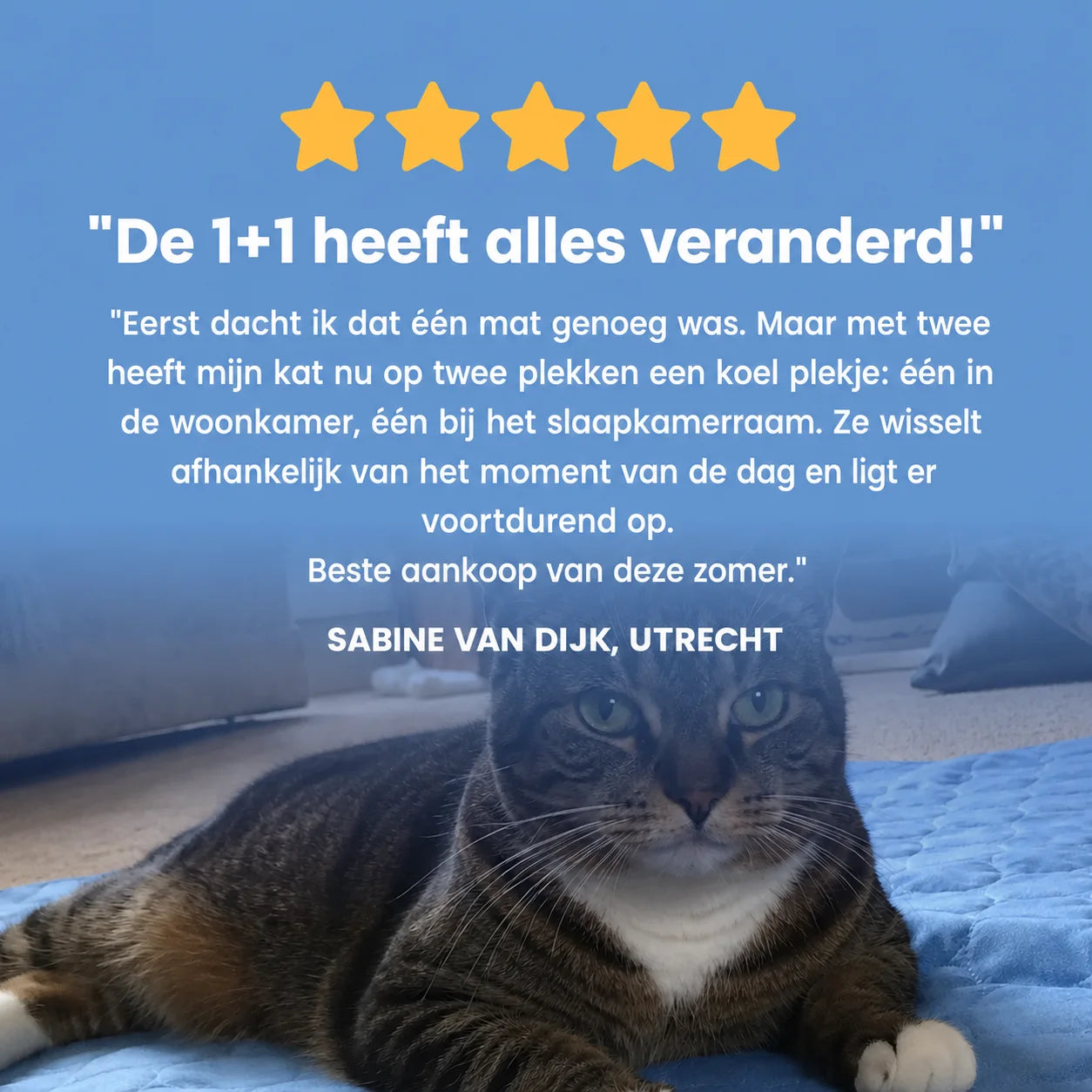 Alto Kat koelmat (2 voor 1)