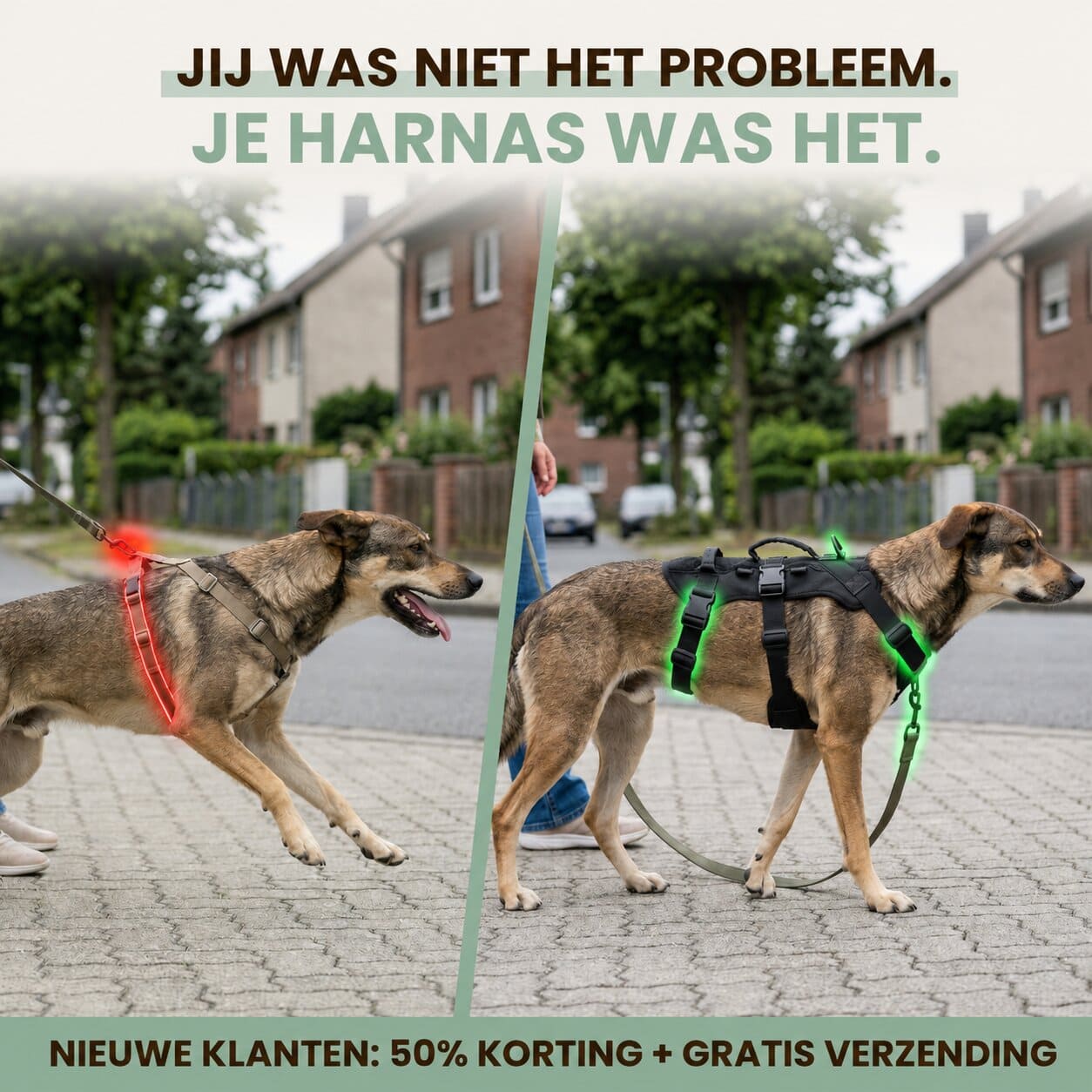 ALTO anti-trek veiligheidstuig