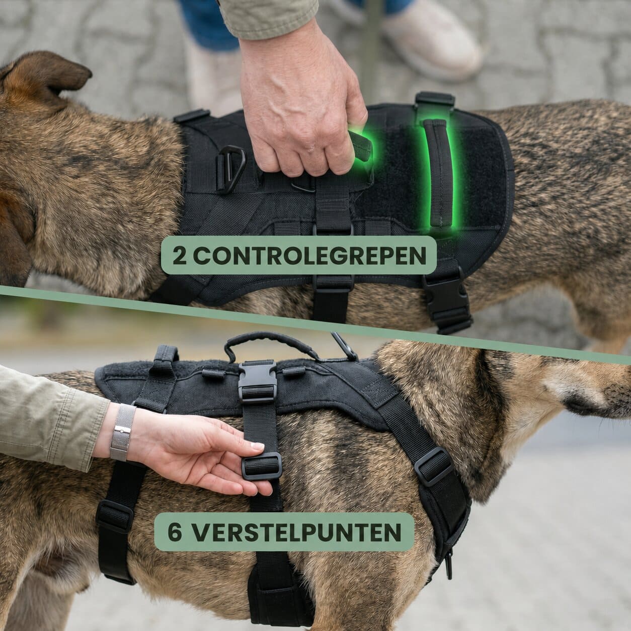 ALTO anti-trek veiligheidstuig