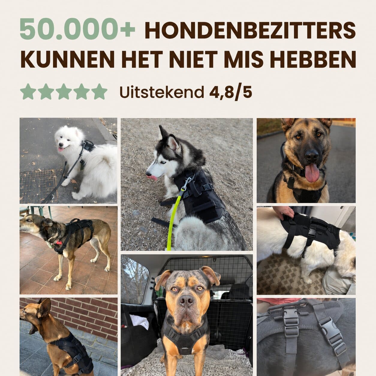 ALTO anti-trek veiligheidstuig