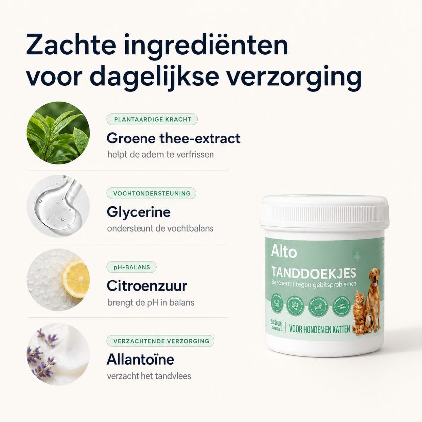 ProCare tandreinigingsdoekjes