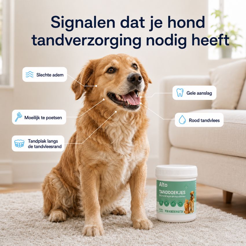 ProCare tandreinigingsdoekjes
