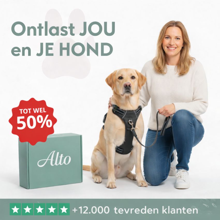 ALTO™ Anti-trek harnas