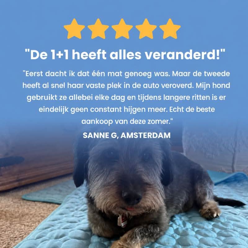 Alto koelmat (2 voor 1)