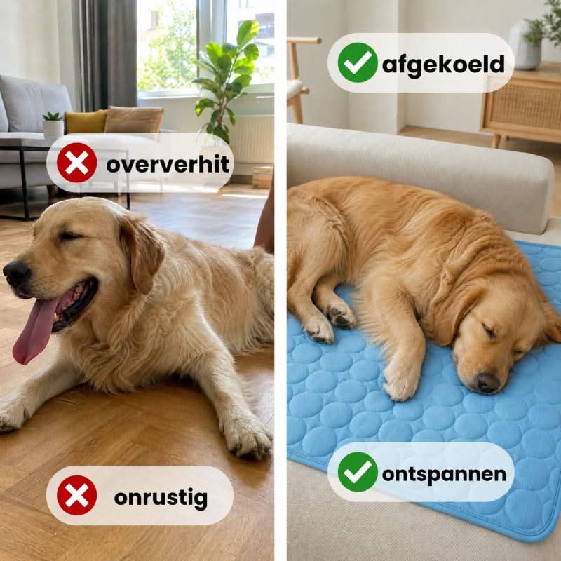 Alto koelmat (2 voor 1)