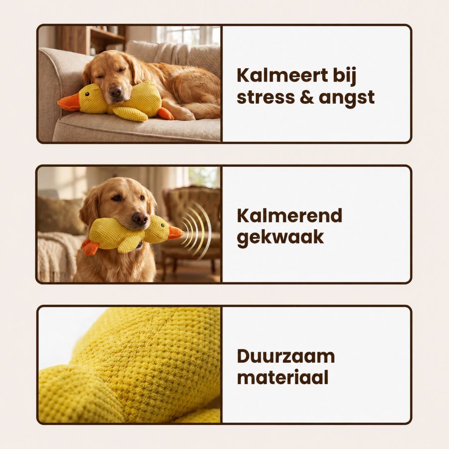Anti-Stress-Eend