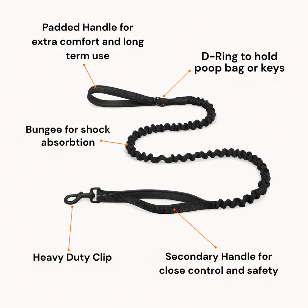 Alto No Pull Dog Harness