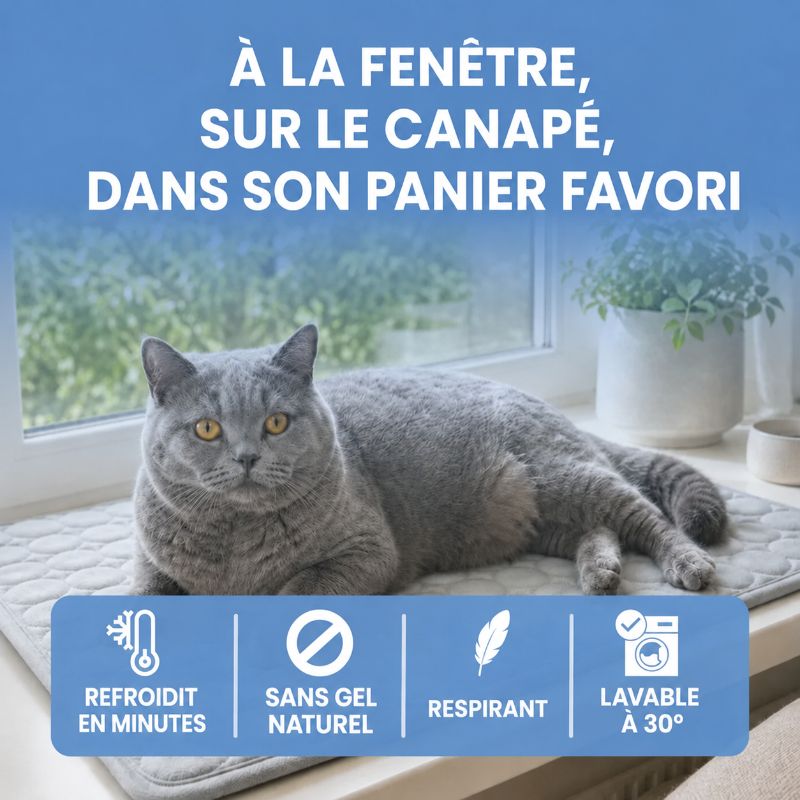 Tapis rafraîchissant Alto pour chat (2 pour 1)