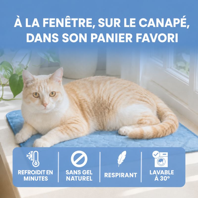 Tapis rafraîchissant Alto pour chat (2 pour 1)