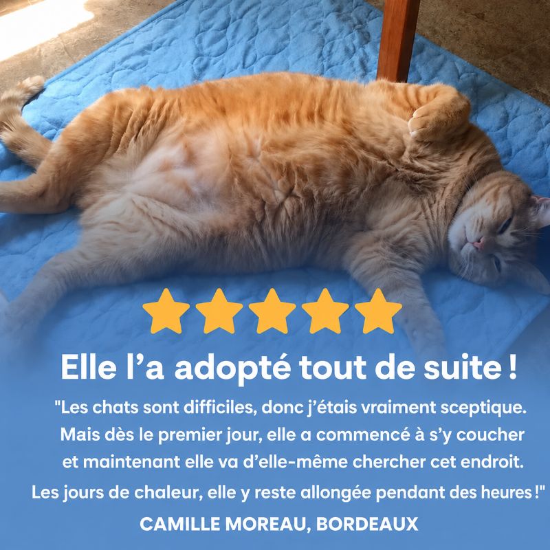Tapis rafraîchissant Alto pour chat (2 pour 1)
