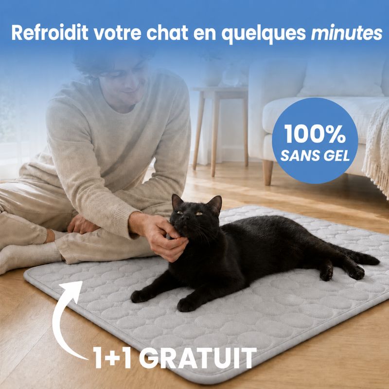 Tapis rafraîchissant Alto pour chat (2 pour 1)