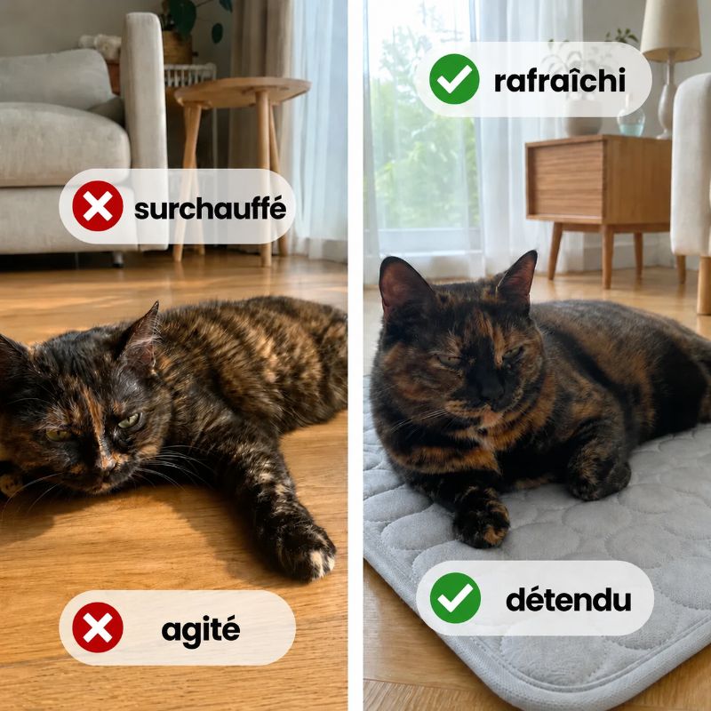 Tapis rafraîchissant Alto pour chat (2 pour 1)