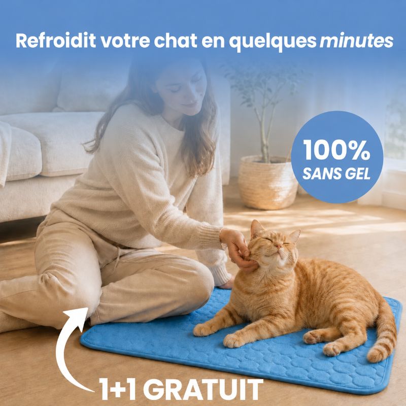Tapis rafraîchissant Alto pour chat (2 pour 1)