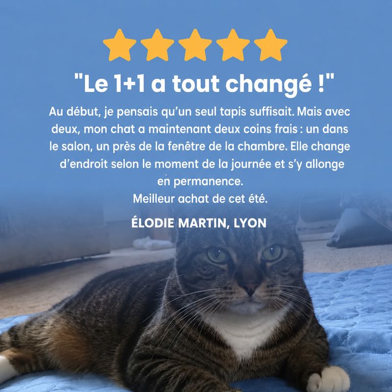 Tapis rafraîchissant Alto pour chat (2 pour 1)