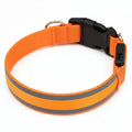 Alto™ lichtgevende halsband