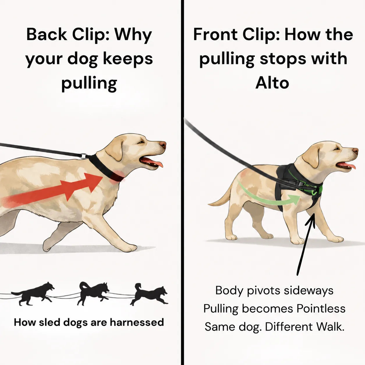 Alto No Pull Dog Harness