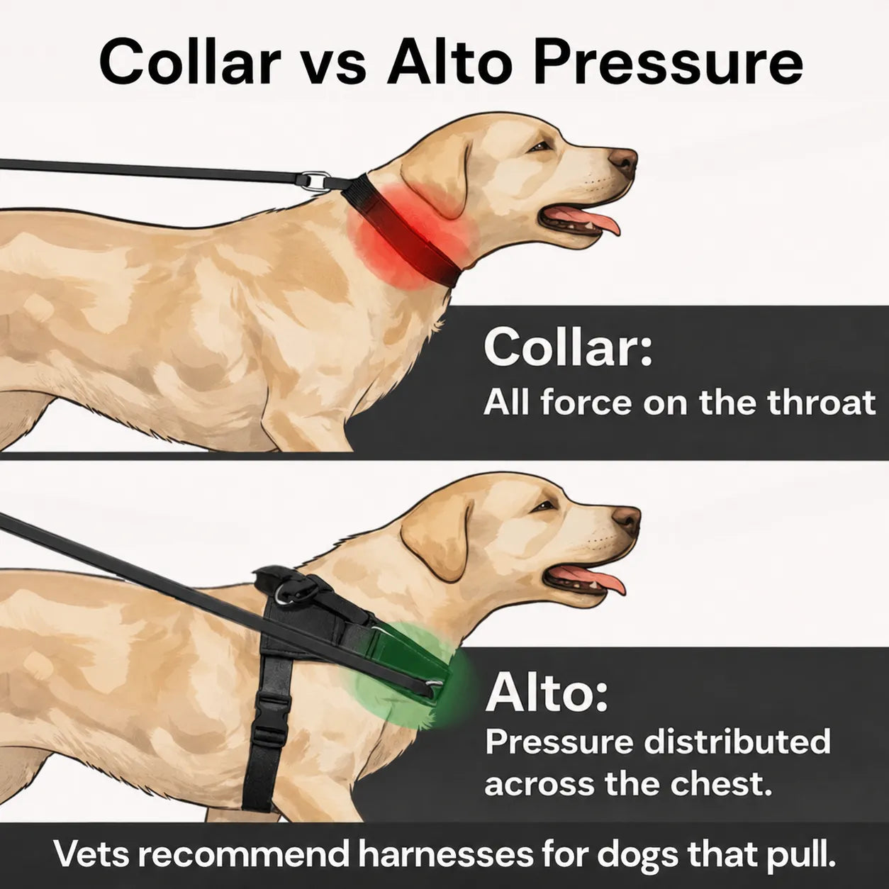 Alto No Pull Dog Harness