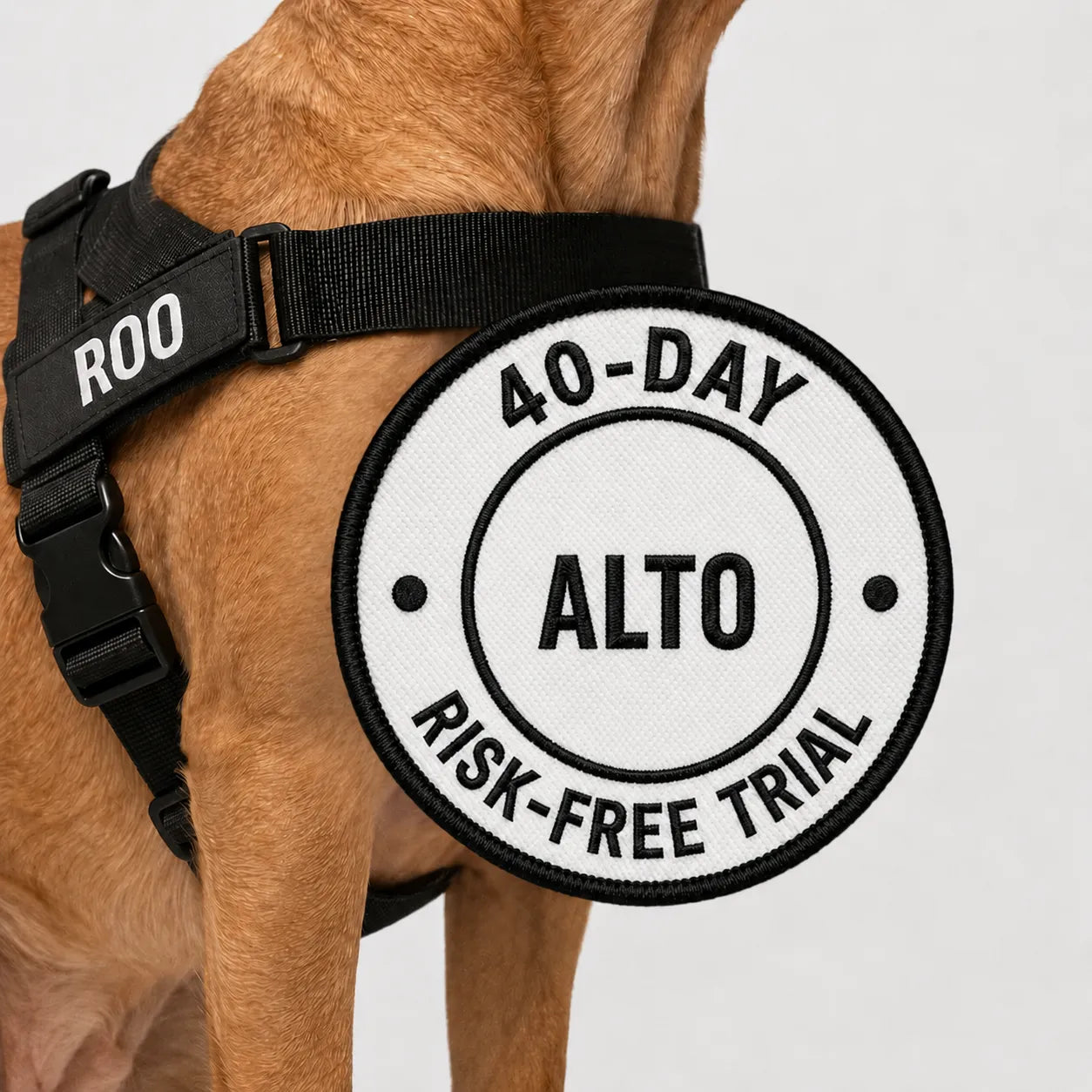 Alto No Pull Dog Harness