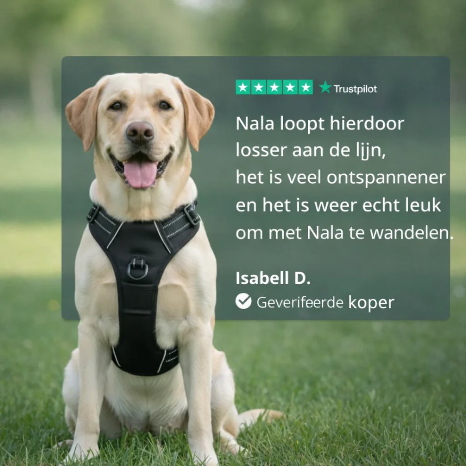 ALTO™ Anti-trek harnas